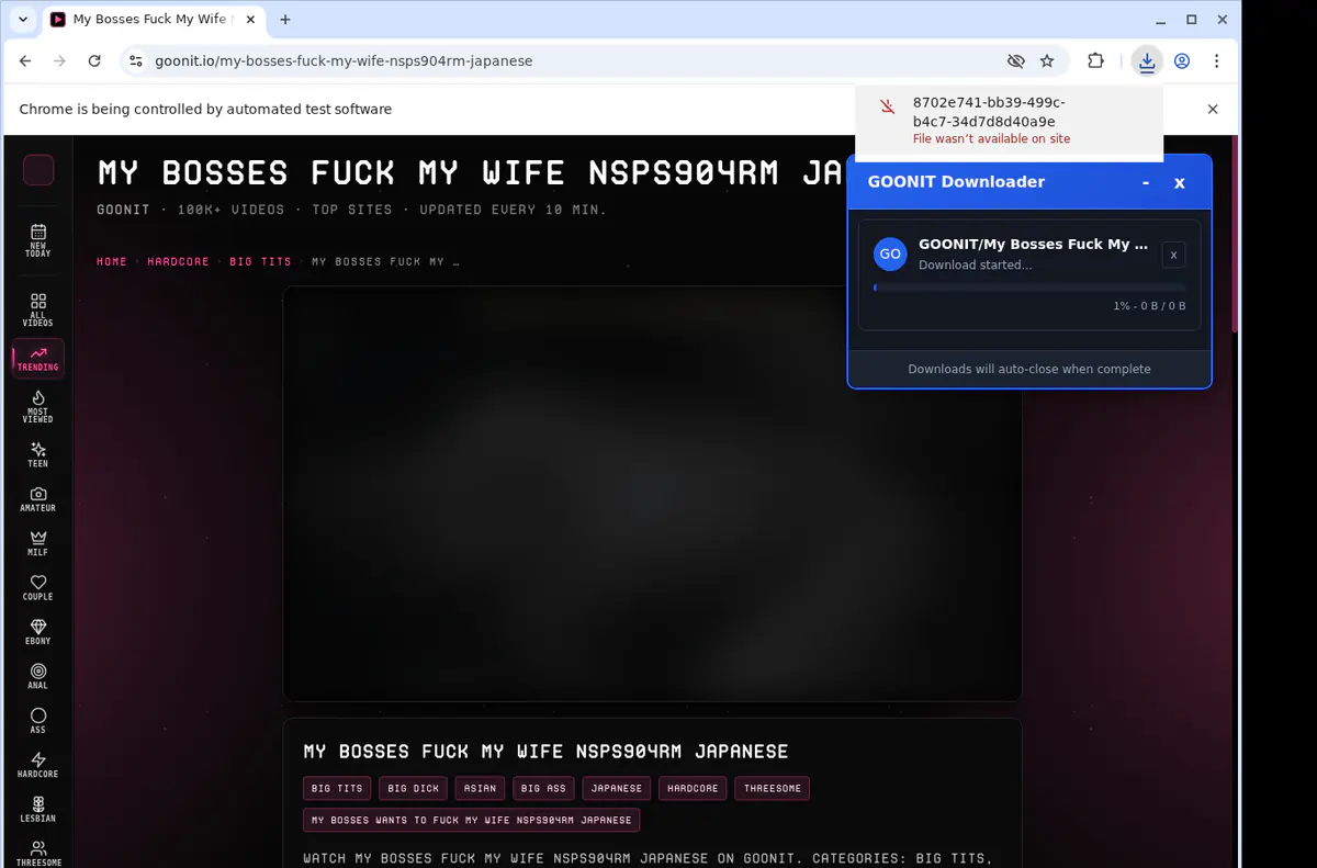 Goonit Video Downloader browser extension screenshot 2