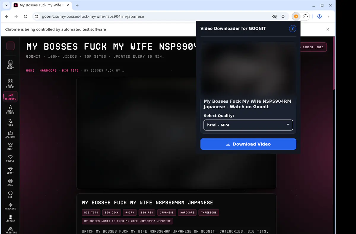 Goonit Video Downloader browser extension screenshot 3